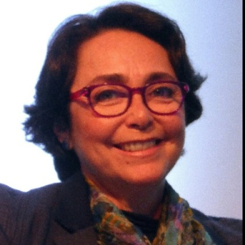 Palestrante - Flávia Lefèvre Guimarães